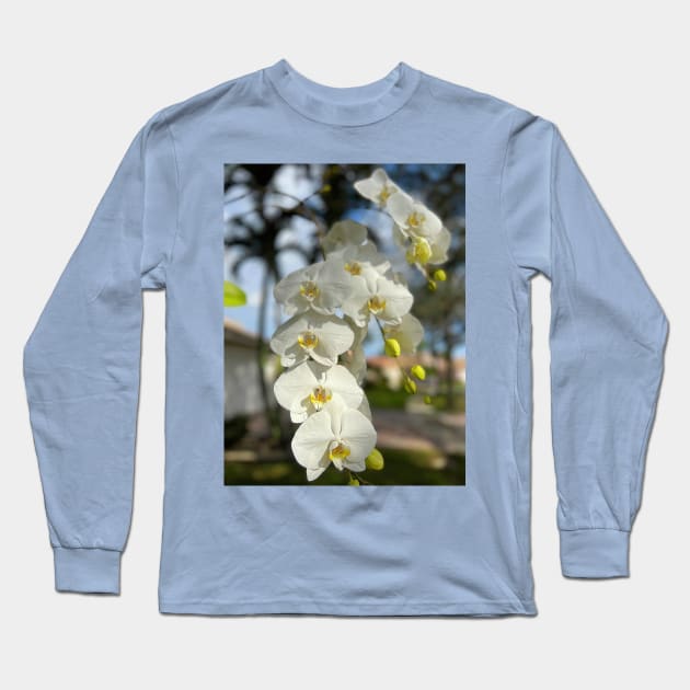 White Orchid With Yellow Long Sleeve T-Shirt by KarenZukArt